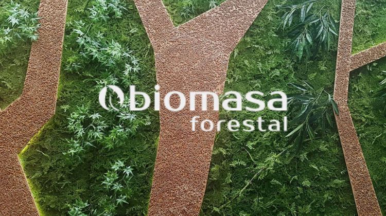 “Estamos llamados a crecer”. BioForestal prevé un fin de 2022 con un mercado de la biomasa al alza