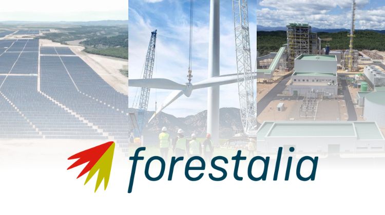 En tramitación. Forestalia avanza con 12 proyectos renovables por casi 500 MW de potencia