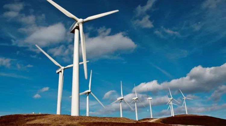 Se disputaban 3,3 GW.  La subasta de renovables adjudicó 45,5 MW eólicos a Elawan y Nearco Renovables