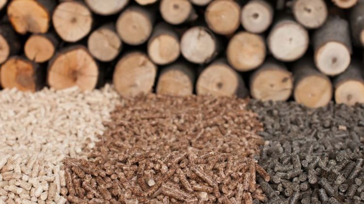 Biomasa.  Desde Avebiom confían en que los valores de los pellets bajen en el mediano plazo