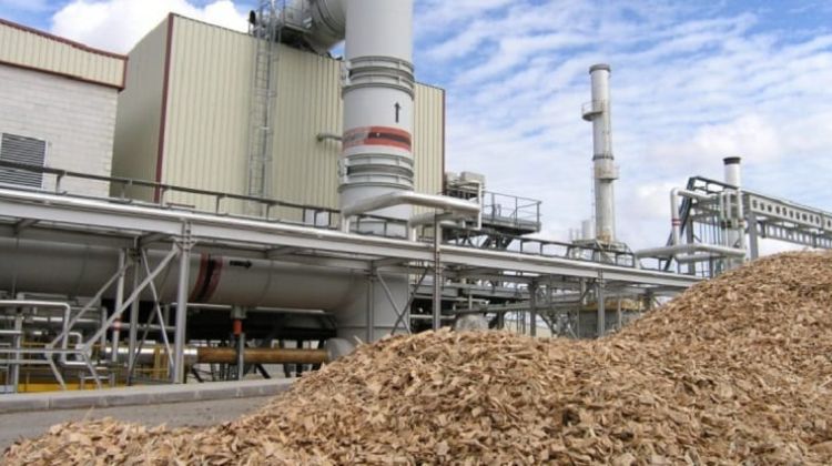 Tras adjudicar en la subasta.  Incus Capital y Reolum se asocian para promover una planta de biomasa de 49,9 MW