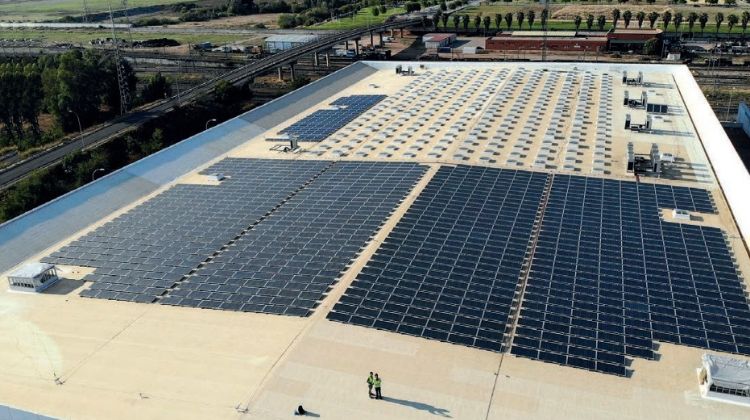 Principalmente fotovoltaicos. Las nuevas licitaciones renovables que Baleares espera lanzar este año
