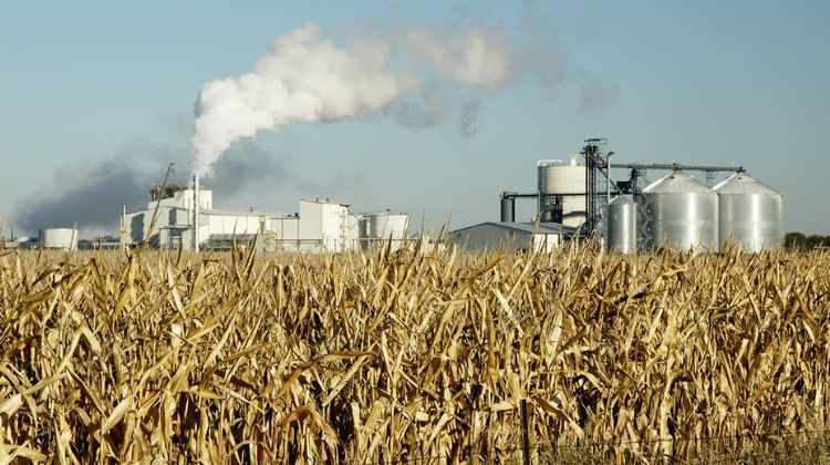 Buscan nuevos residuos. Cepsa y Cooperativas Agro-alimentarias se unen para indagar en la producción de biocombustibles 2G