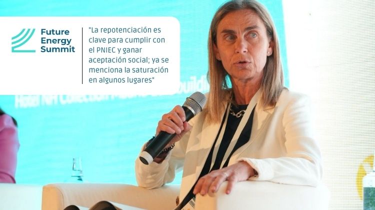 Elena Díaz – Enerfin: Repotenciación eólica