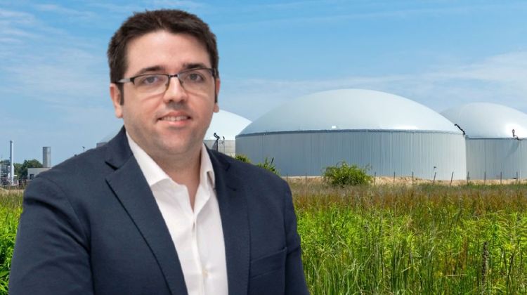El potencial del biogás en España: una ruta con desafíos en la pequeña y gran escala