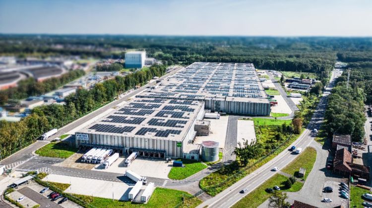 Hito. METRO, Goodman y BayWa r.e. inauguran la instalación solar sobre cubierta más grande de Alemania