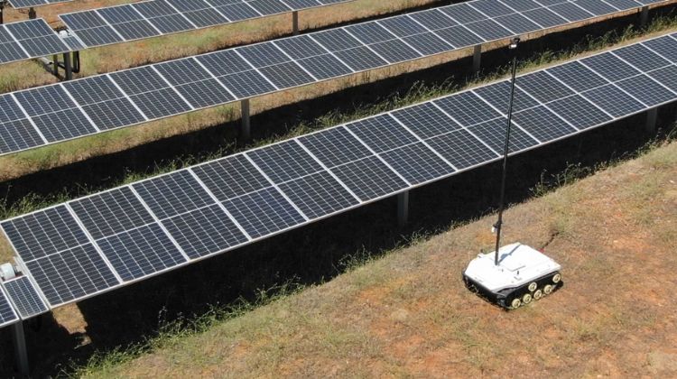 Nuevo robot que protege suelo y vegetación para aumentar la productividad de paneles solares