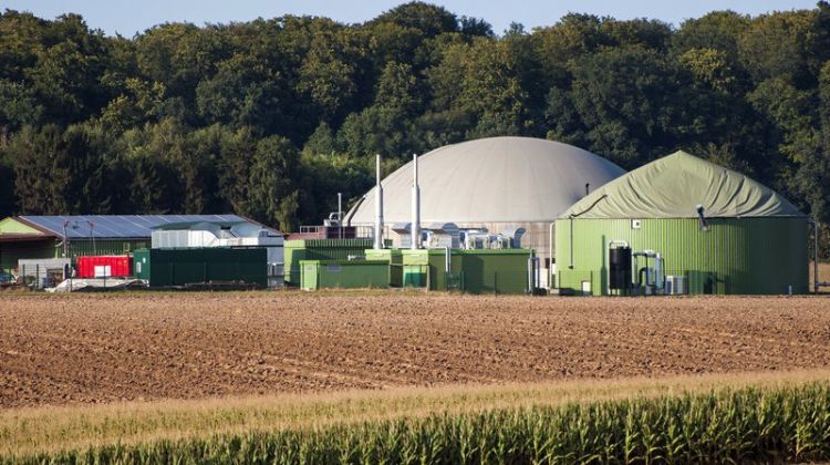 Bajo la lupa de la CE. Suecia es investigada por fondos entregados para exención fiscal del biogás y del biopropano