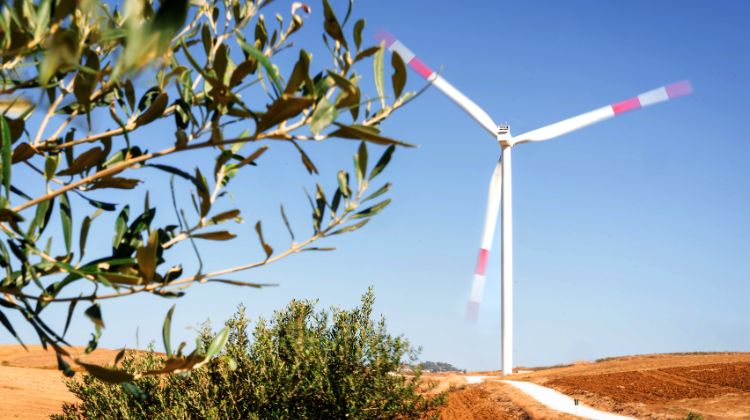 En Italia.  EDP Renewables se adjudica contratos a largo plazo para la venta de 100 MW renovables