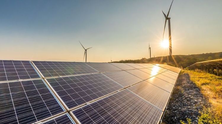 El análisis de expertos. Las condiciones que espera el sector para la subasta de renovables que se realizaría en octubre